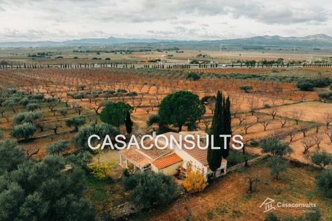Masia a Cabanes, Castellon, Cabanes - € 100.000 | Ref: 917 - foto 22